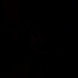 Meet your Posher, Micah